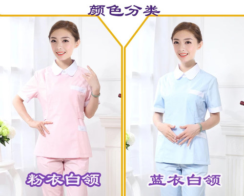 新款护士服分体套装女冬装长袖夏季短袖医生服美容口腔牙科工作服 - 图1