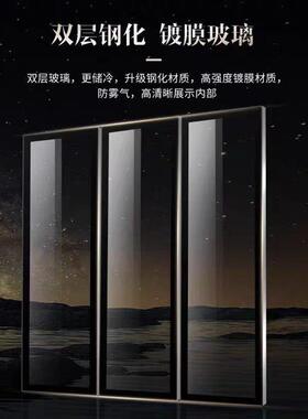 国企旗舰店商用双门风冷展示柜超市饮料啤酒冷藏保鲜冰柜