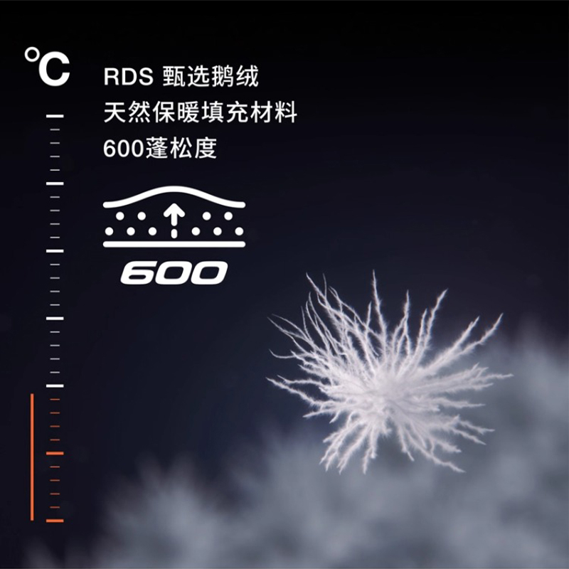 TheNorthFace北面羽绒服男款防水600蓬鹅绒中长款加厚大毛领8HMB - 图2