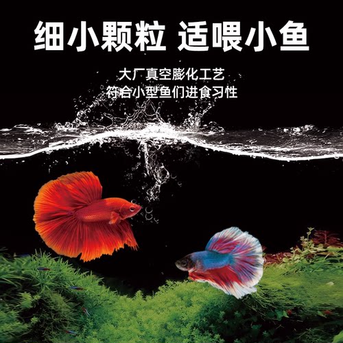 德瑞斗鱼饲料中国普叉泰国斗鱼半月通用鱼饲料专用鱼粮鱼料小颗粒 - 图3