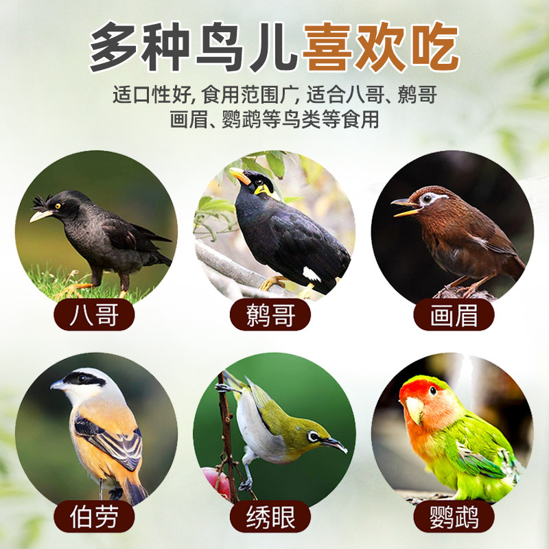 鸟食面包虫干玄凤鹦鹉八哥专用鸟粮画眉鸟鹩哥绣眼幼鸟斑鸠鸟饲料,淘宝优惠券,粉丝福利购,淘宝优惠卷