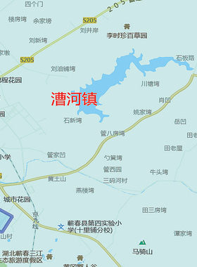 地图办公室防水装饰画定制