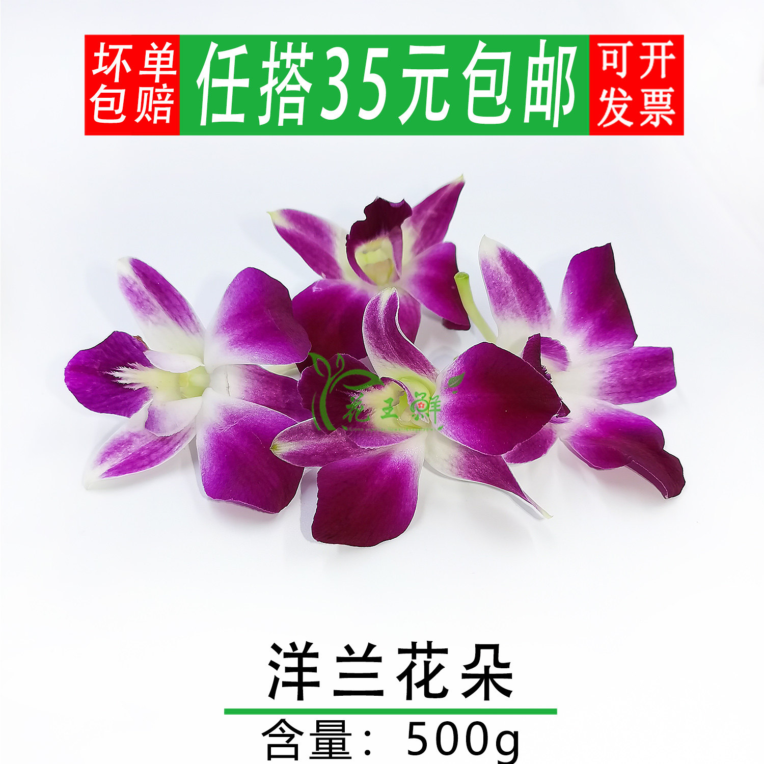 杨兰花简介,兰花图片_大山谷图库