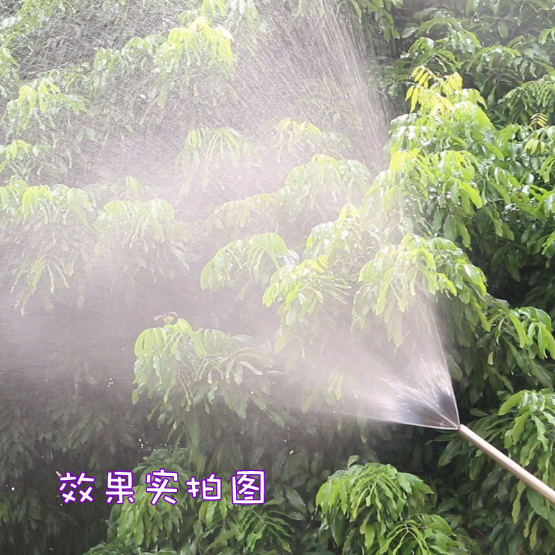 农用浇花抽拉水枪喷水喷药枪手动往复式喷雾器拉杆式伸缩长杆喷枪 - 图2