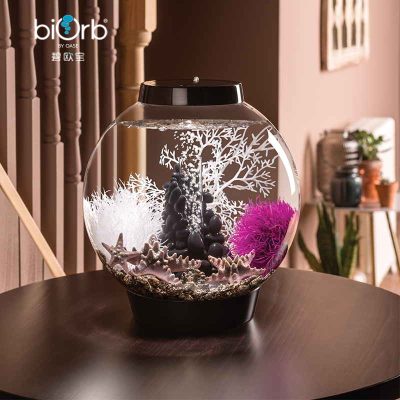 【限量特惠】 biorb鱼缸客厅小型桌面创意造景家用懒人生态缸