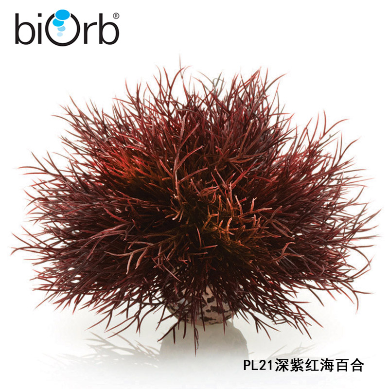 biorb 海百合小鱼缸装饰造景套餐 仿真水草 多色可选 颜色鲜艳 - 图1