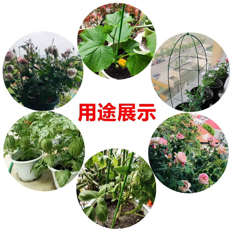 金钱树支撑杆植物固定花架爬藤架阳台花盆支架园艺花卉盆栽支撑架