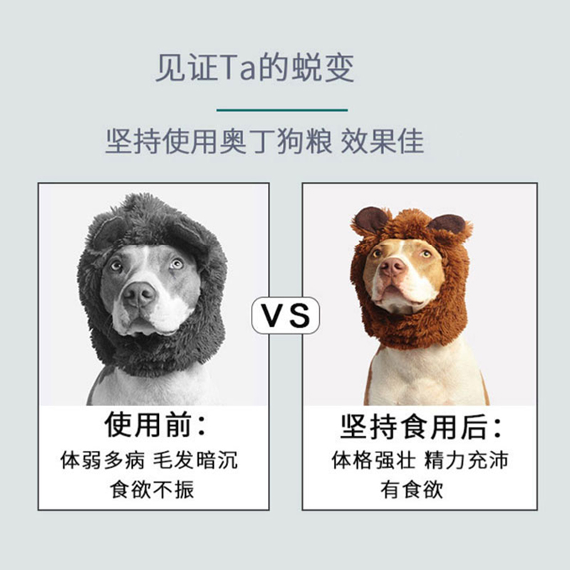 奥丁成犬狗粮通用型20kg/40斤德牧狼狗马犬杜宾阿拉斯加中大型