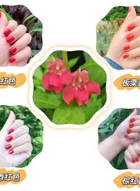 【60克送工具+防溢贴】植