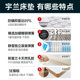 Mattress independent spring latex home soft cushion 1.8 meters