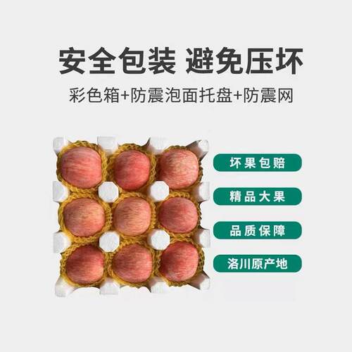 正宗陕西洛川苹果红富士新鲜当季孕妇水果时令脆甜陕西一级果10斤-图2