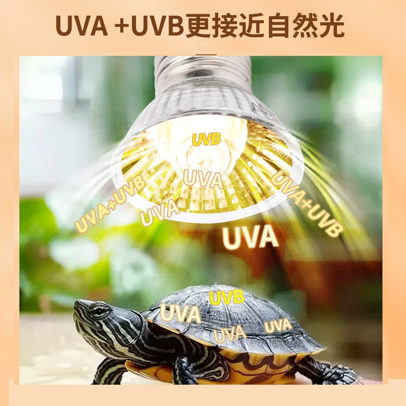 乌龟爬宠晒背灯取暖加热保温太阳灯灯泡宠物乌龟灯架芦丁鸡保温灯,淘宝优惠券,粉丝福利购,淘宝优惠卷