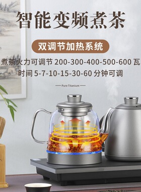 全自动【37x23】上水纯钛电热水壶烧水壶泡茶专用办公煮茶烧水