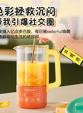 荣事达养生壶家用多功能迷你