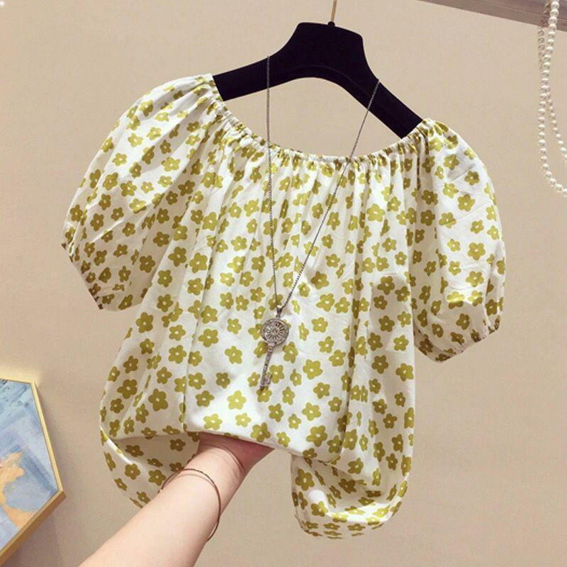  圣西伦服饰蕾丝衫/雪纺衫