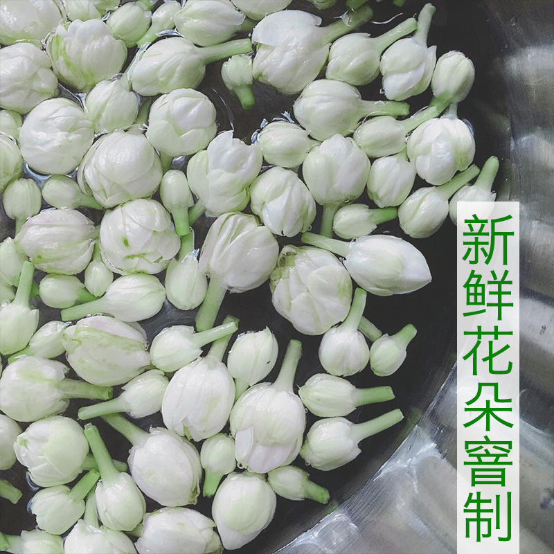 茉莉花茶浓香型可食用花苞茶干花朵孕妇茶茉莉花干2024新广西横县 - 图2