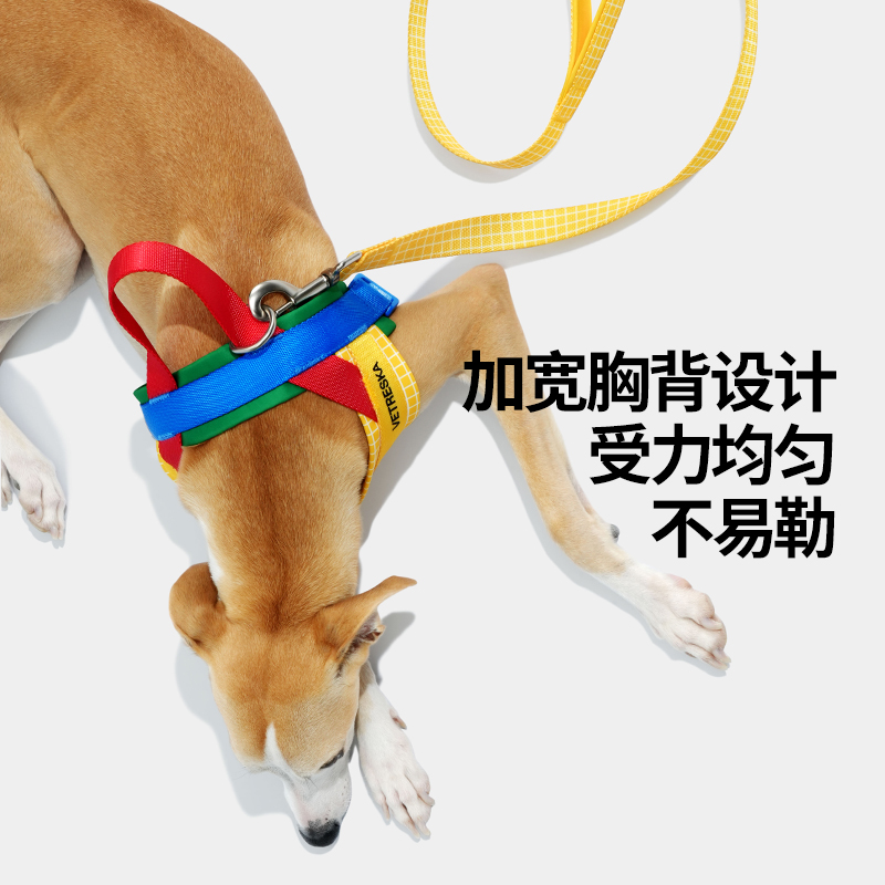 未卡狗狗胸背带牵引绳送拾便器Chroma大中小型犬快穿宠物遛狗绳 - 图1