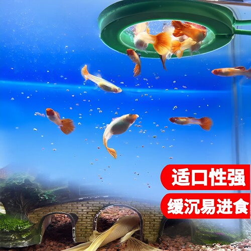 森森孔雀鱼饲料鱼食小颗粒热带鱼饲料 观赏小型鱼饲料灯科鱼鱼粮 - 图1