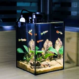 Sensen Fish Tank Living Room Небольшой ультра -белый стеклян