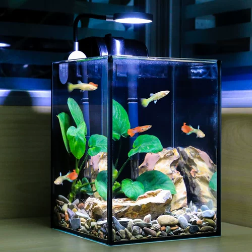 Аквариум для гостиной, маленький стеклянный декор из смолы, полный комплект