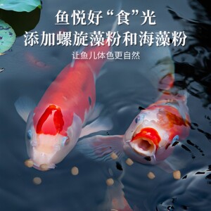 森森锦鲤鱼饲料专用鱼粮 观赏鱼金鱼饲料增色不浑水 鱼食锦鲤专用