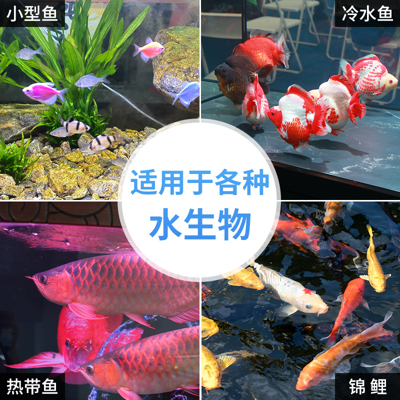 森森硝化细菌鱼缸专用胶囊净水活菌干粉养鱼鱼药水族消化细菌鱼用 - 图1