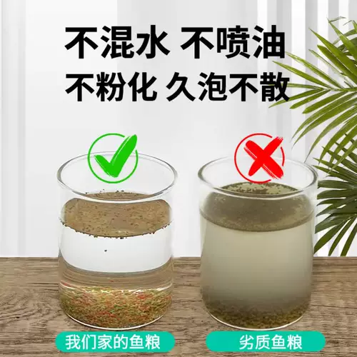 Sensen Peacock Feed Feed Fid Food Маленькие частицы тропическая рыба кормление, наблюдая за небольшими рыбами. Семейство Семейная рыба и рыба