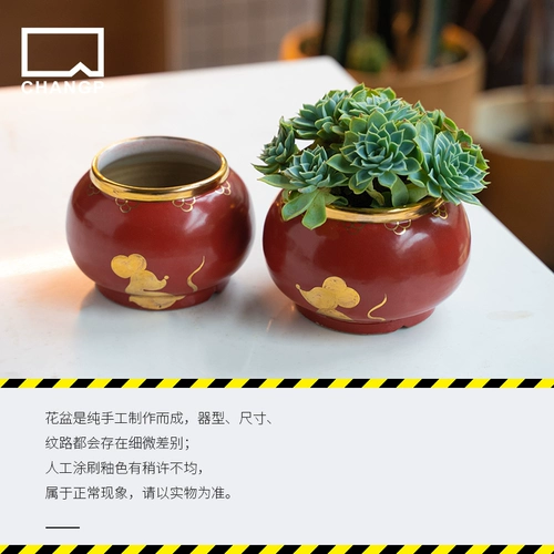 Changpin Life Сочный растительный цветок Мясоцкий горшок камный камный керамический цветок