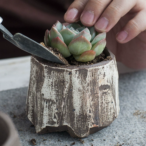 Креативный керамический маленький цветочный горшок для домашнего использования
