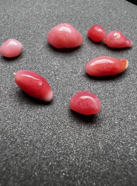 海螺珠孔克珠加勒比海火焰纹镶嵌