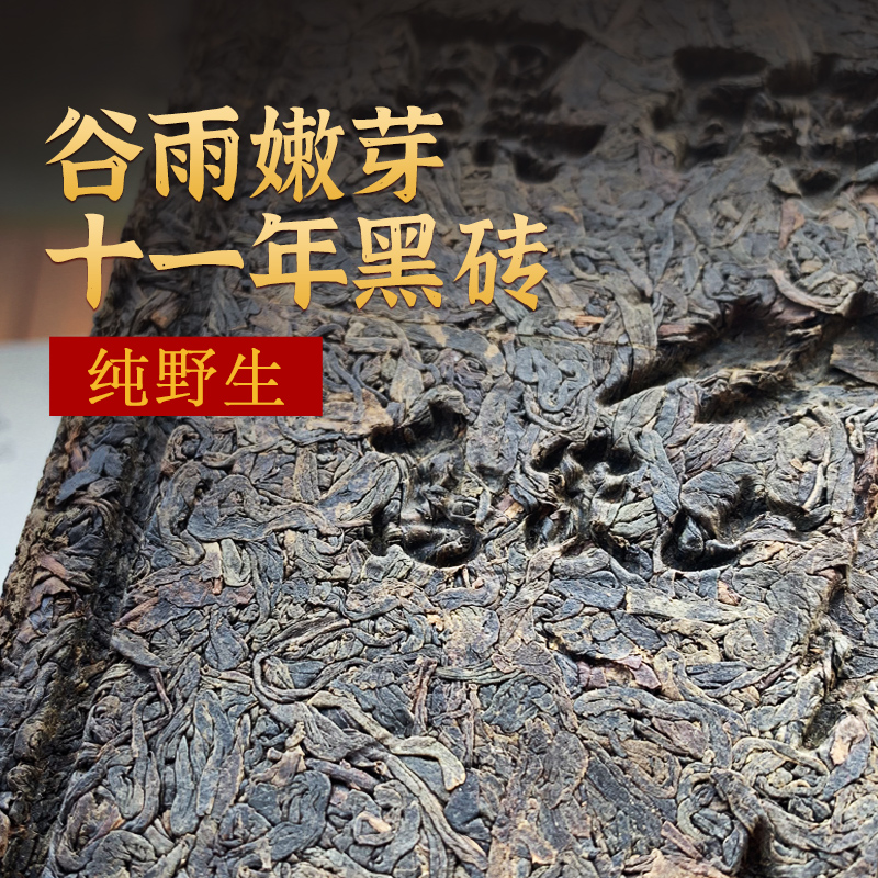 高家山2011年野生陈年老黑茶湖南安化正品安化黑茶正宗天尖黑砖茶