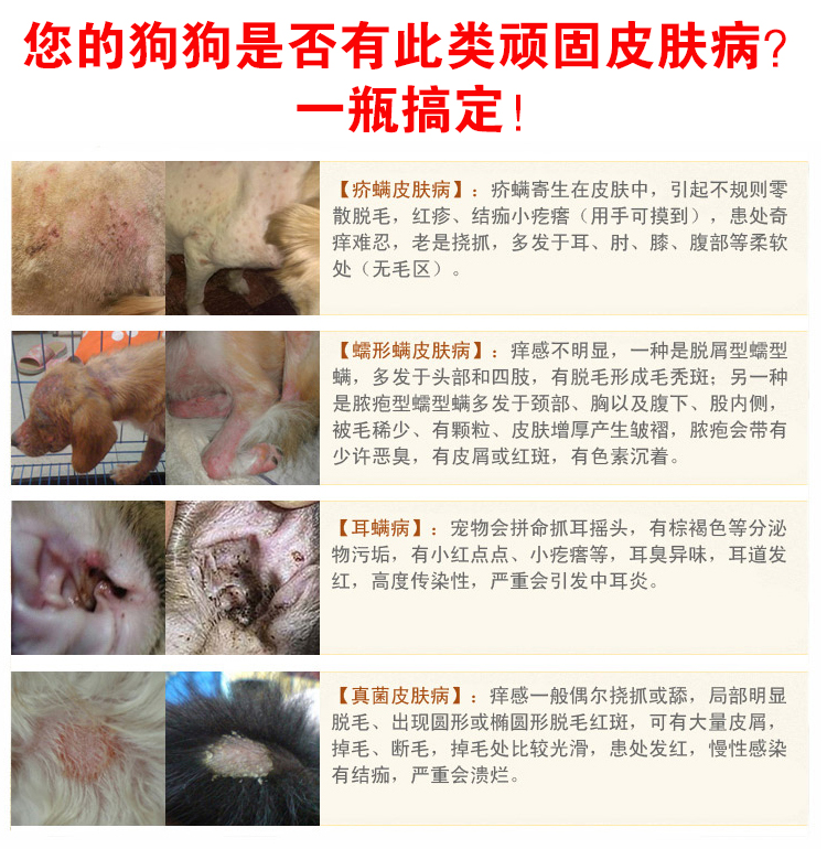 Tinea mite kang癣螨速肤康皮肤药 宠物犬猫咪狗狗皮肤病双克喷剂 - 图2