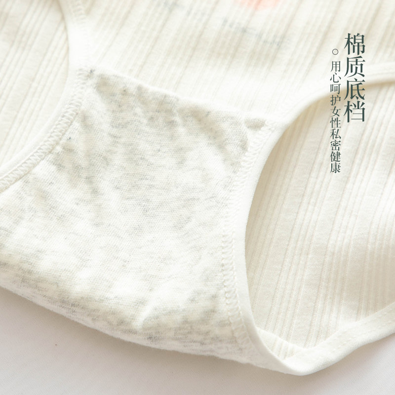 南极人女士纯棉抗菌裆透气少女内裤 南极人泰阁内裤