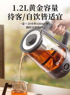 康巴赫新款蒸汽喷淋煮茶器泡茶机