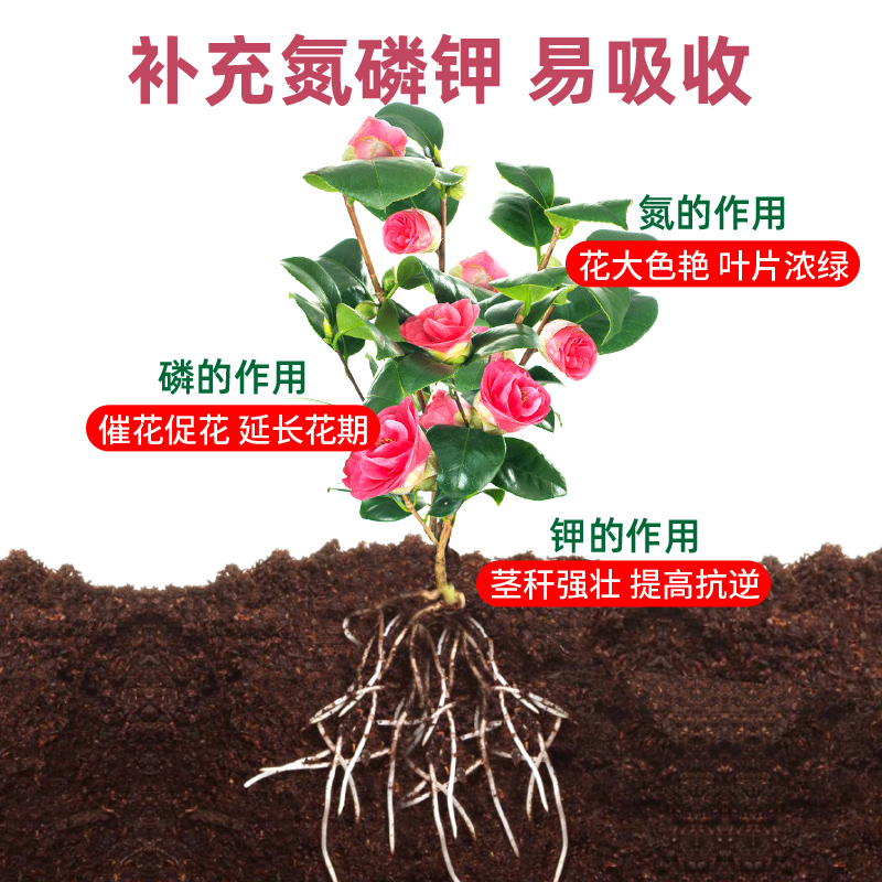 花多多水溶肥1 2 3 8 10 12 23号叶面肥花卉绿植通用型肥料家用 - 图0