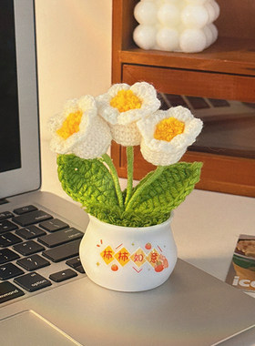 生日礼物女生办公室工位花束桌面小摆件手工编织送闺蜜实用伴手礼