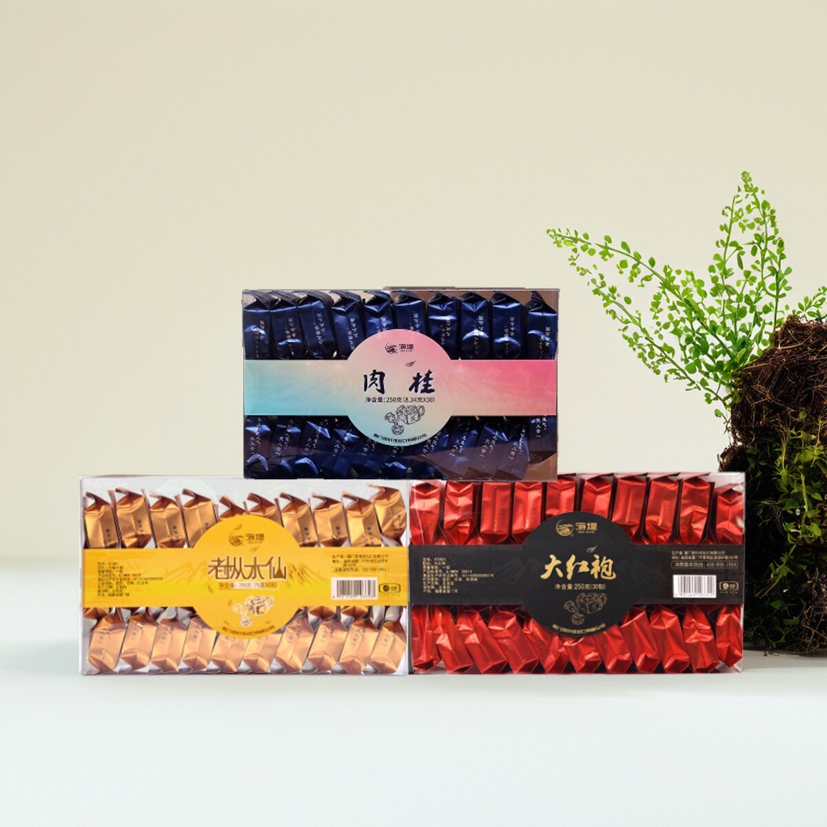 中茶海堤茶叶店乌龙茶岩茶浓香肉桂老枞水仙大红袍250g*3组合厦门 - 图0