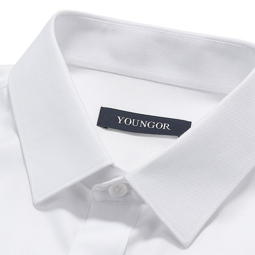 /雅戈尔长袖衬衫YLDP110246BBA - 图2