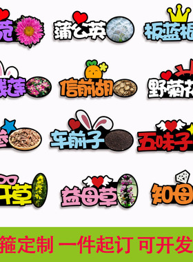 中草药名称发箍定制天麻板蓝根