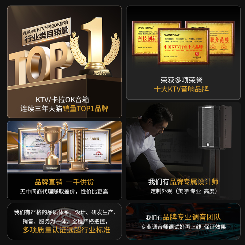 Westin 12-inch stage-level KTV professional speakers