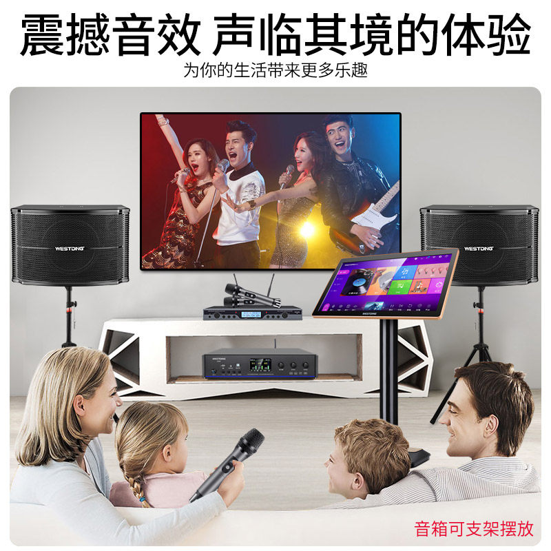 威斯汀168专业家庭ktv套装全套 威斯汀KTV/卡拉OK音箱