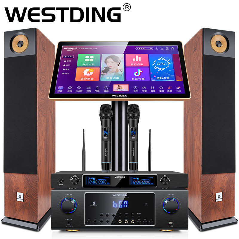 威斯汀银河一号家庭ktv套装音响 威斯汀KTV/卡拉OK音箱
