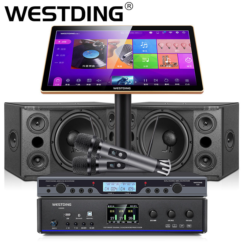 威斯汀168专业家庭ktv套装全套 威斯汀KTV/卡拉OK音箱