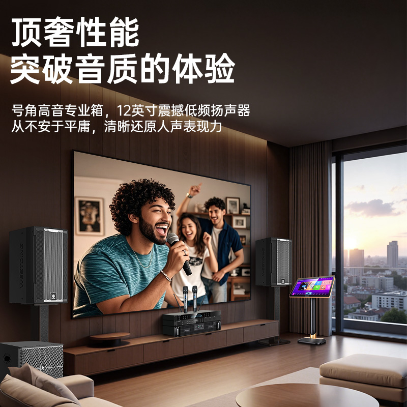 Complete set of original top luxury karaoke professional box set