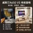 威斯汀唱歌观影全套设备家庭KTV音响套装家用客厅卡拉OK音箱轻奢