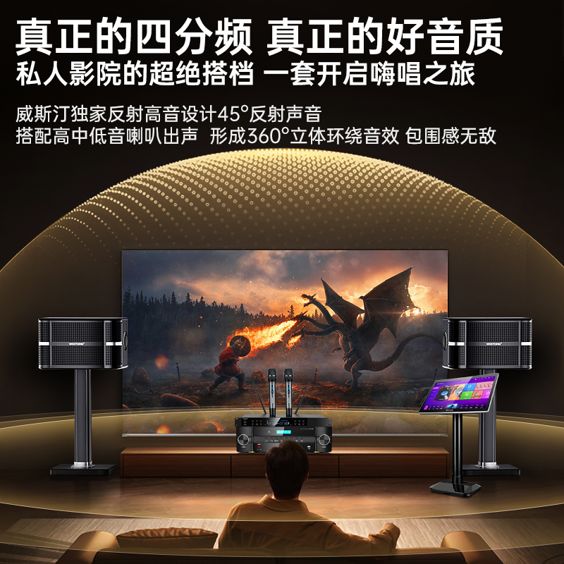 2025 new private audio and video ktv audio set