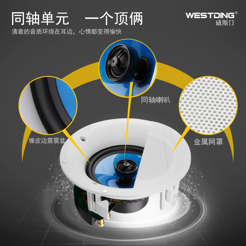 吸顶音响套装家用客厅吊顶环绕音箱全套背景音乐餐厅蓝牙功放同轴天花板嵌入式喇叭 5.1 威斯汀家庭影院 吸顶音响套装家用客厅吊顶环绕音箱全套背景音乐餐厅蓝牙功放同轴天花板嵌入式喇叭 5.1 威斯汀家庭影院