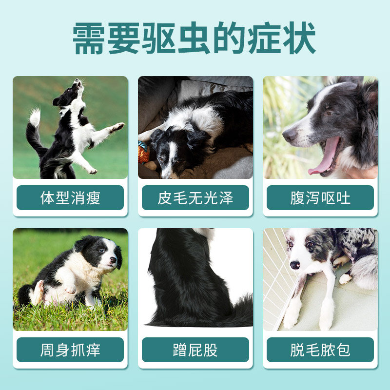 边牧驱虫药体内外一体狗狗专用驱虫药滴剂幼犬去跳蚤虱子打虫药,淘宝优惠券,粉丝福利购,淘宝优惠卷