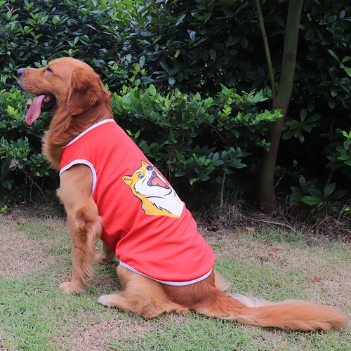 Собачья одежда летняя весна и лето тонкий жилет средний большая собака Самоид золотой ретривер Лабрадор Летняя одежда