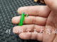 New exquisite natural jade green jade pendant necklace